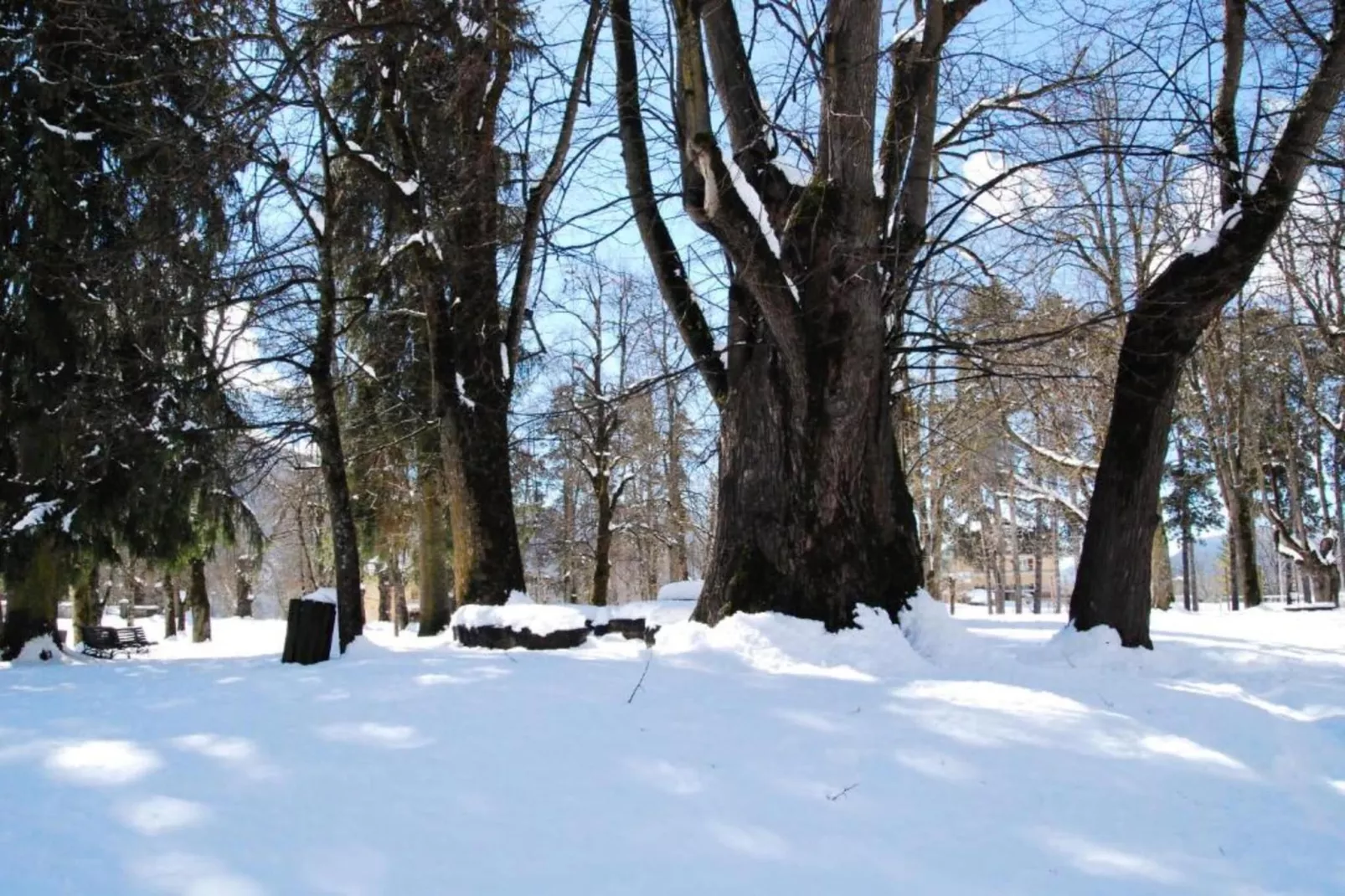 Negritella Trilo Sei-Gebied winter 20km