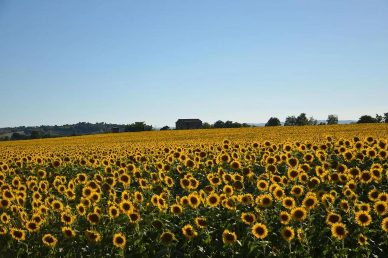 Villa Anita-Gebieden zomer 20km
