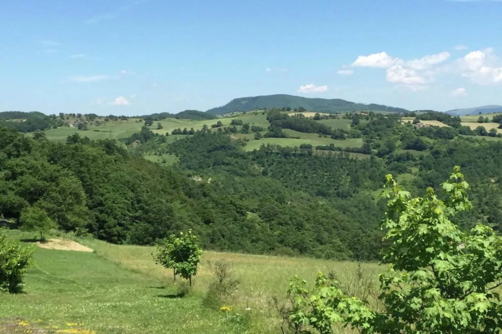 Cucciolo-Gebieden zomer 20km