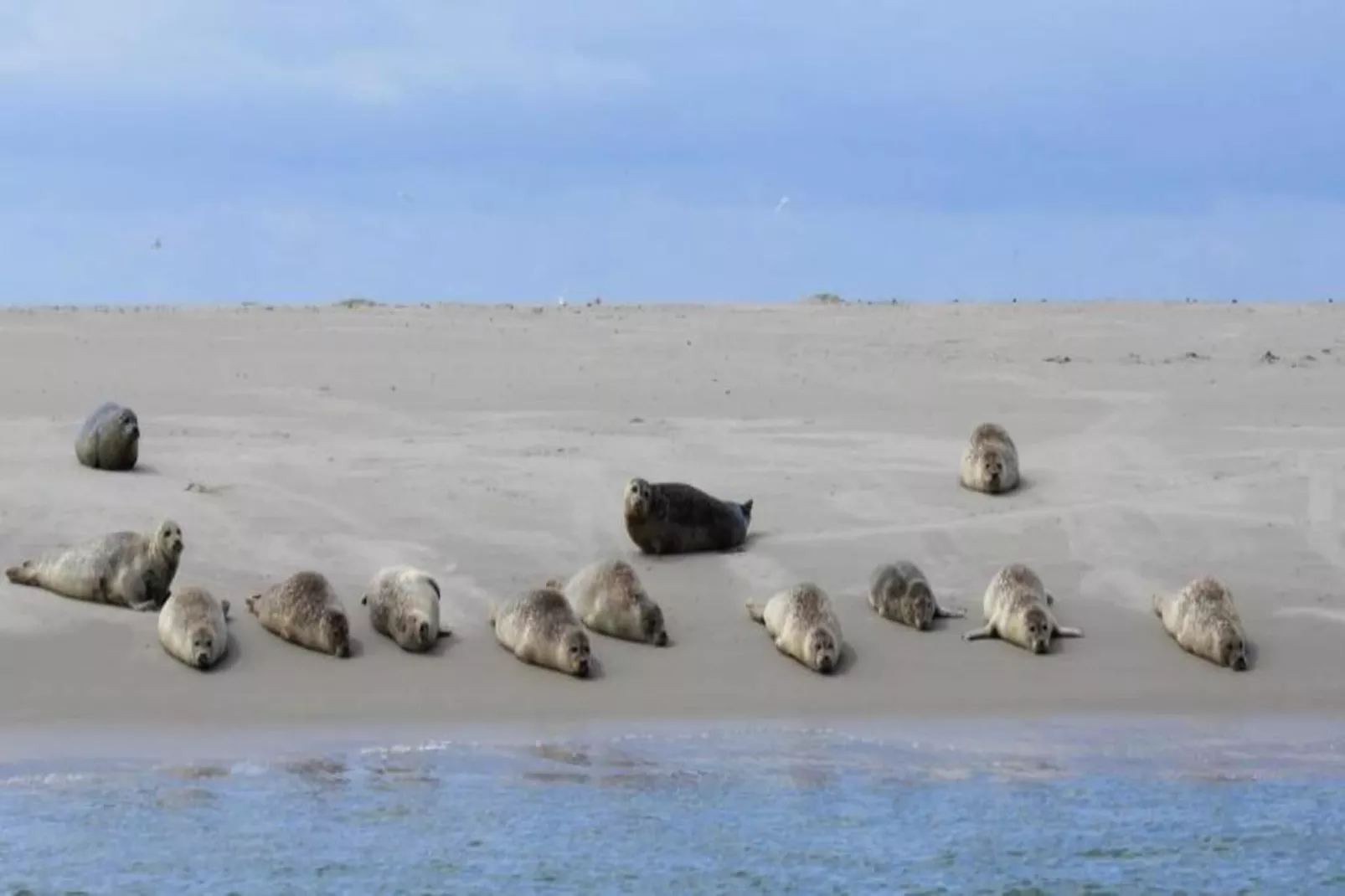 Residentie Californië 3-Gebieden zomer 20km