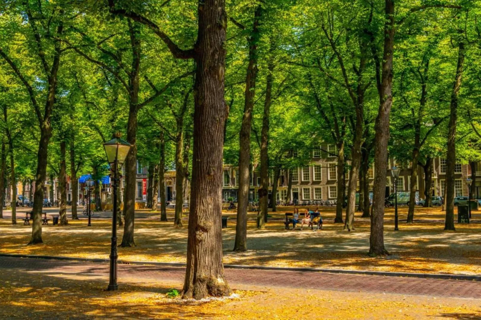Vakantiepark Kijkduin 6-Gebieden zomer 20km