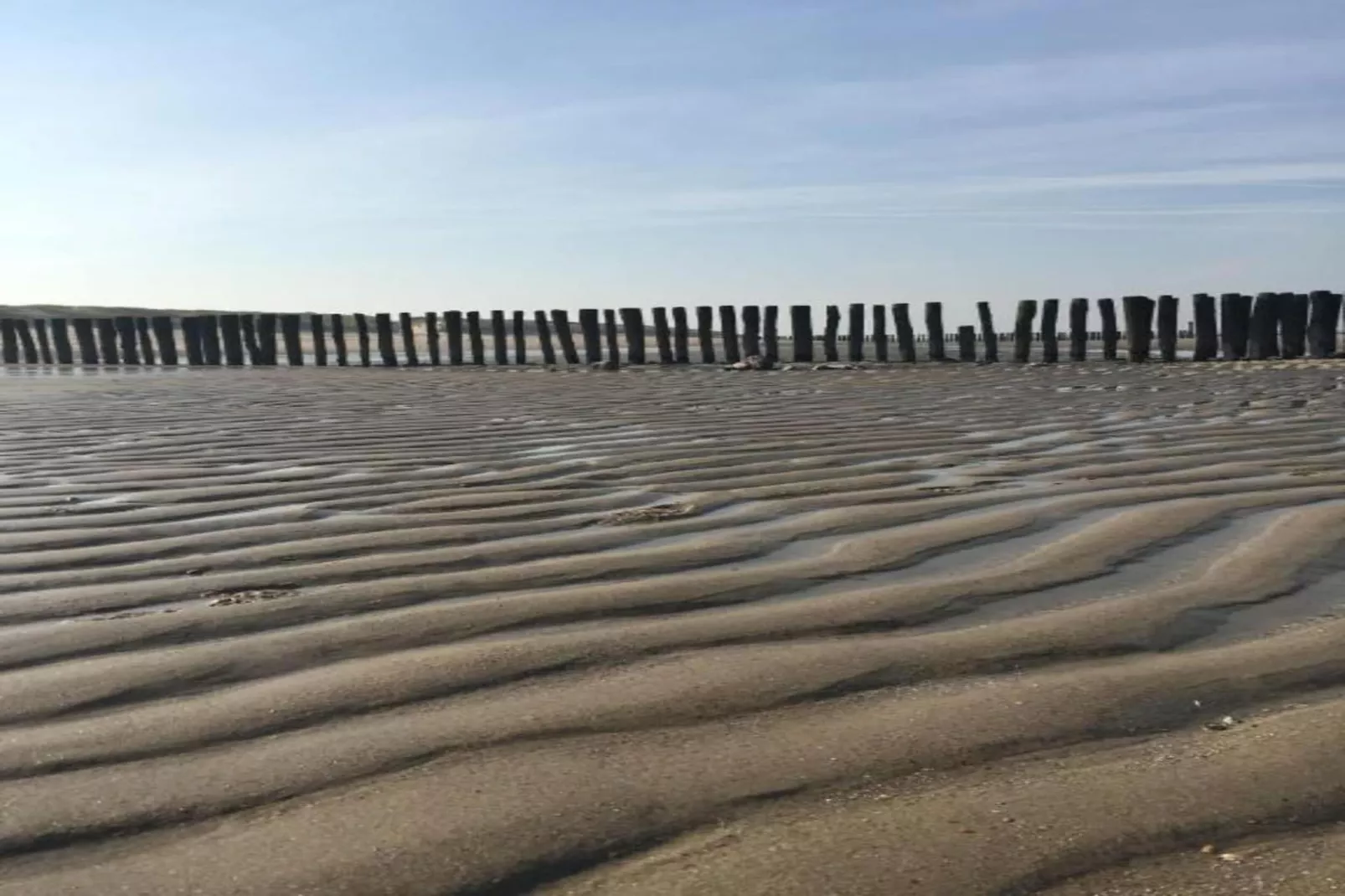 Noordzee Résidence Dishoek 9-Gebieden zomer 5km