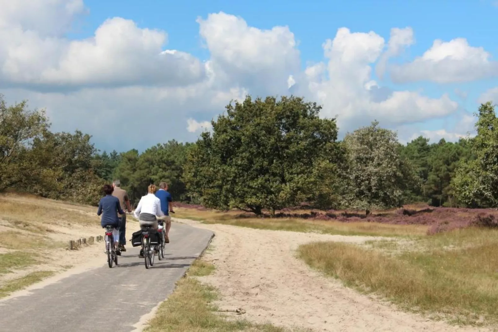 Recreatiepark Duinhoeve 9-Gebieden zomer 20km