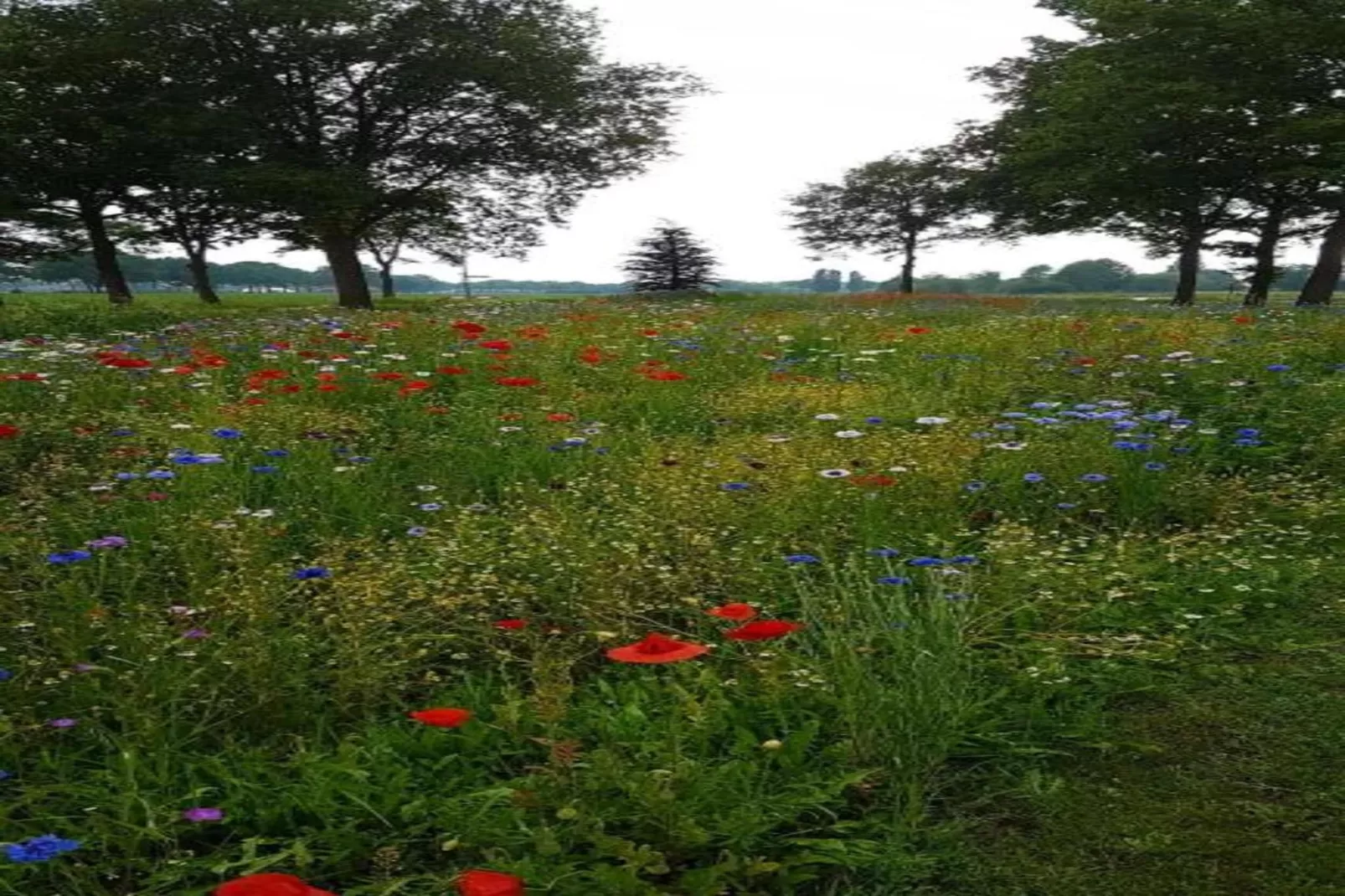 Vakantiepark Sandberghe 11-Gebieden zomer 20km