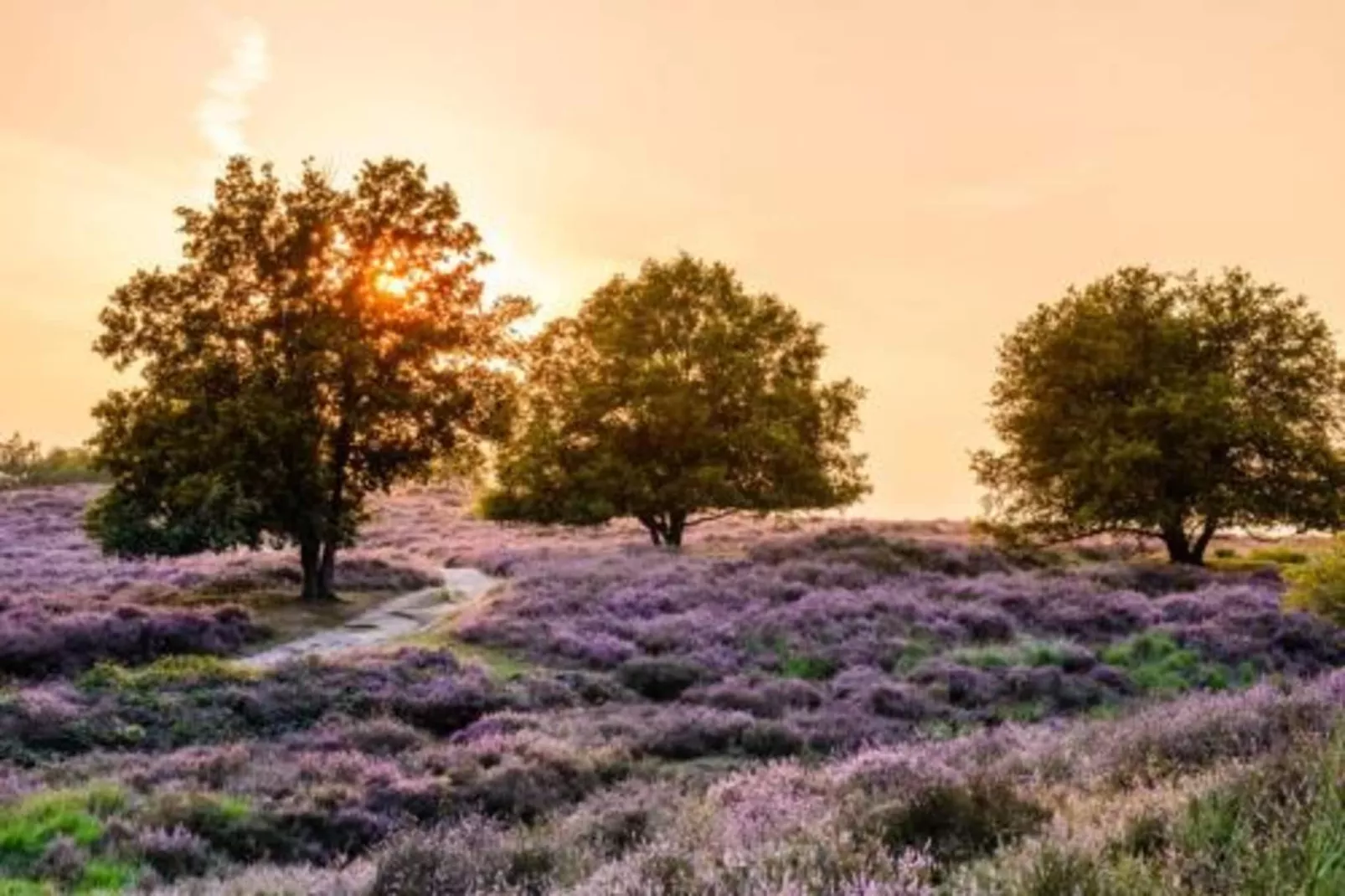 Vakantie bij Meeussen - Schuttersoord 2-Gebieden zomer 20km