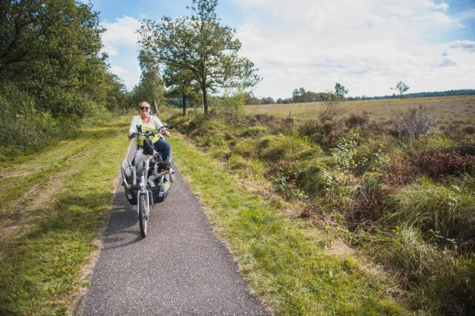 Singelhoeve-Gebieden zomer 20km