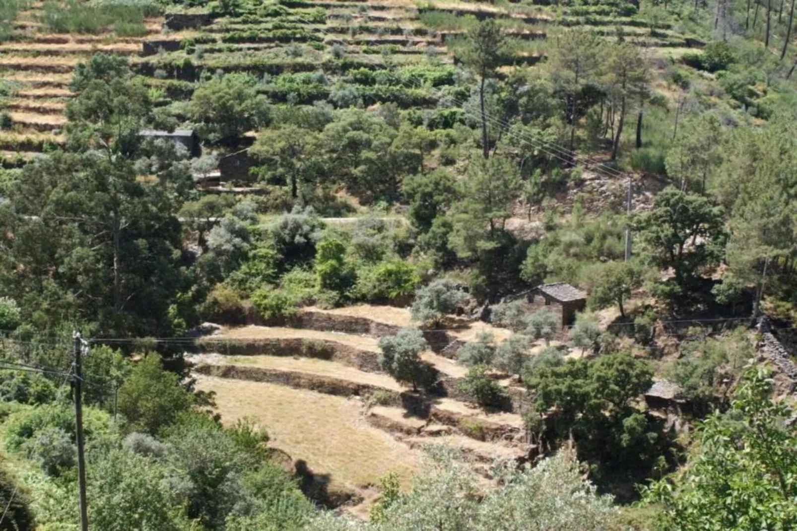 Casa Oliveirinha-Gebieden zomer 20km