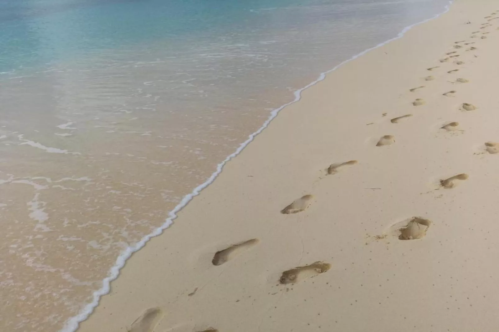 Vakantiehuis - Zoutelande 'Bon Bini'-Gebieden zomer 1km