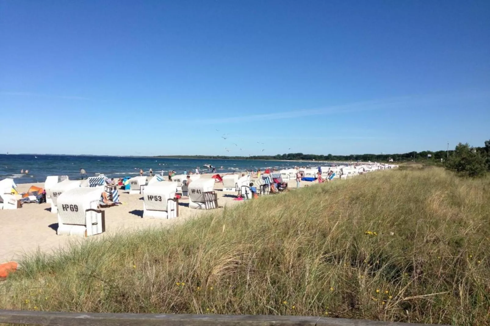 Ferien an der Ostsee-Gebieden zomer 5km