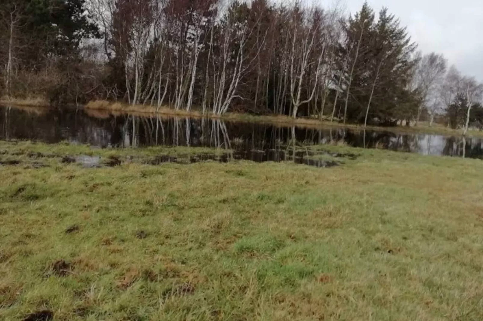 6 persoons vakantie huis in Dannemare-By Traum-Buitenlucht