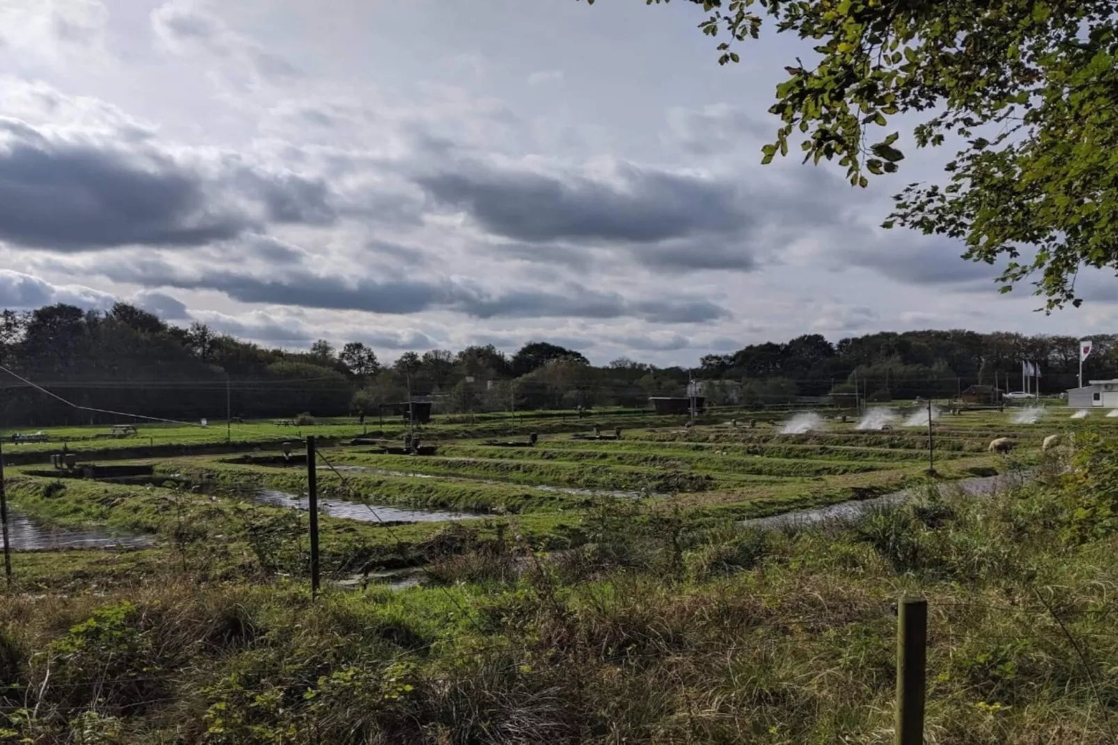 4 persoons vakantie huis in Hovborg-By Traum-Niet-getagd