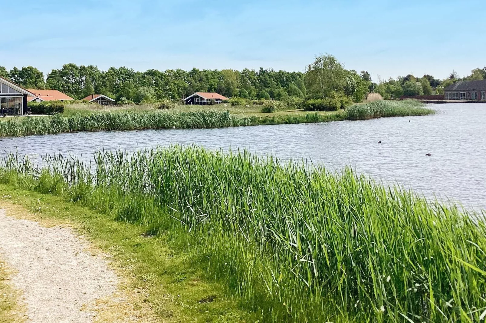 6 persoons vakantie huis in Væggerløse-By Traum-Buitenlucht