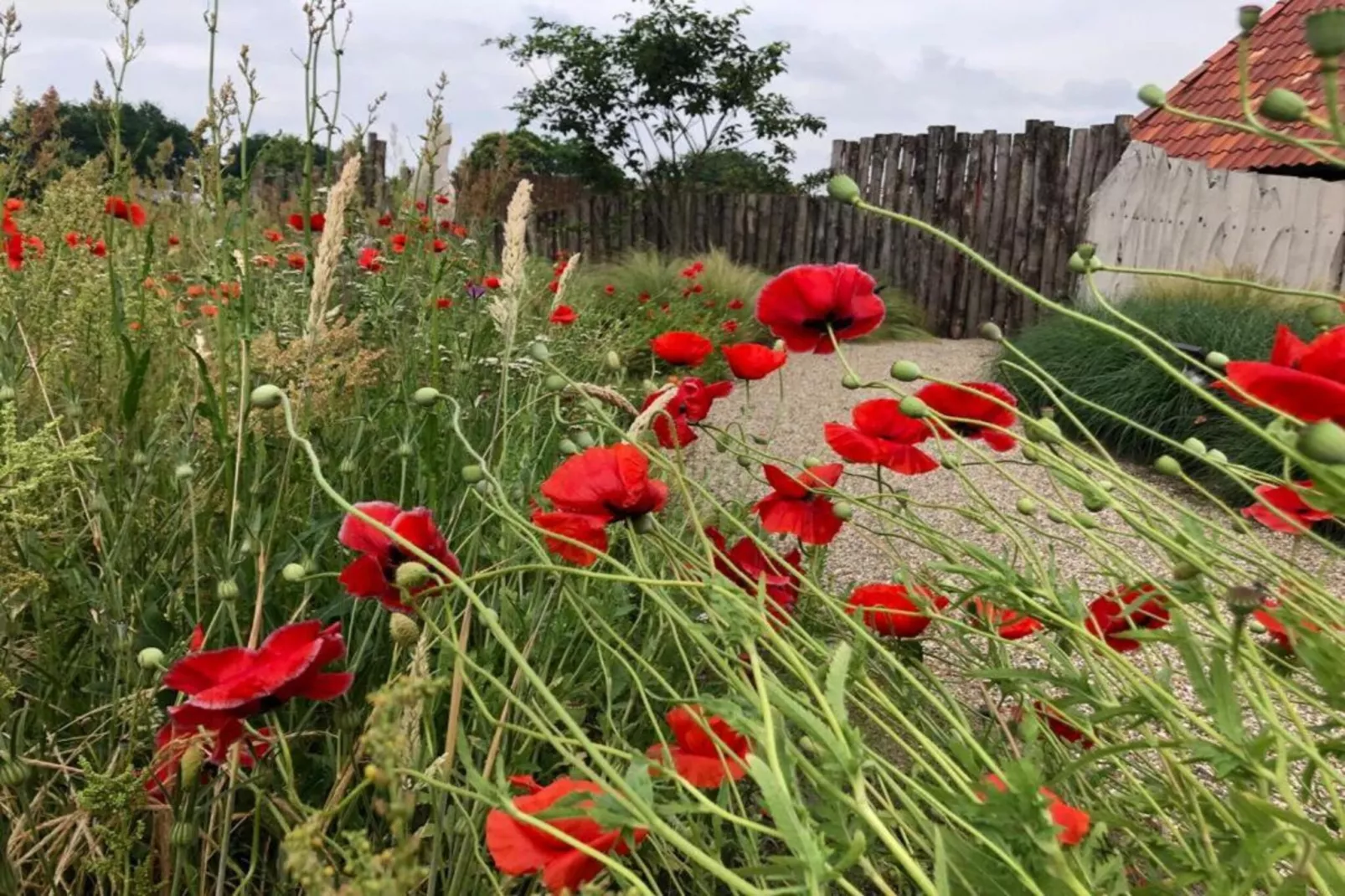 Vakantiepark Sandberghe 13-Gebieden zomer 20km