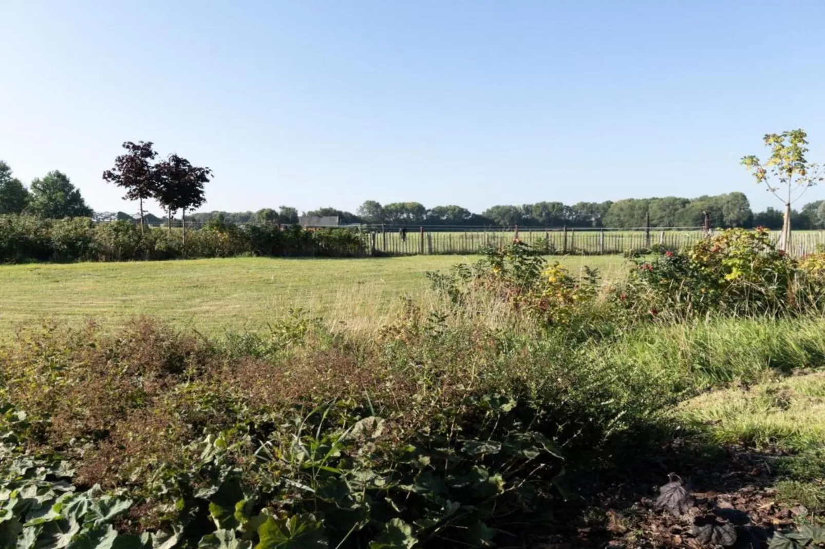 Vakantiepark 't Broeckhuys 8-Gebieden zomer 20km