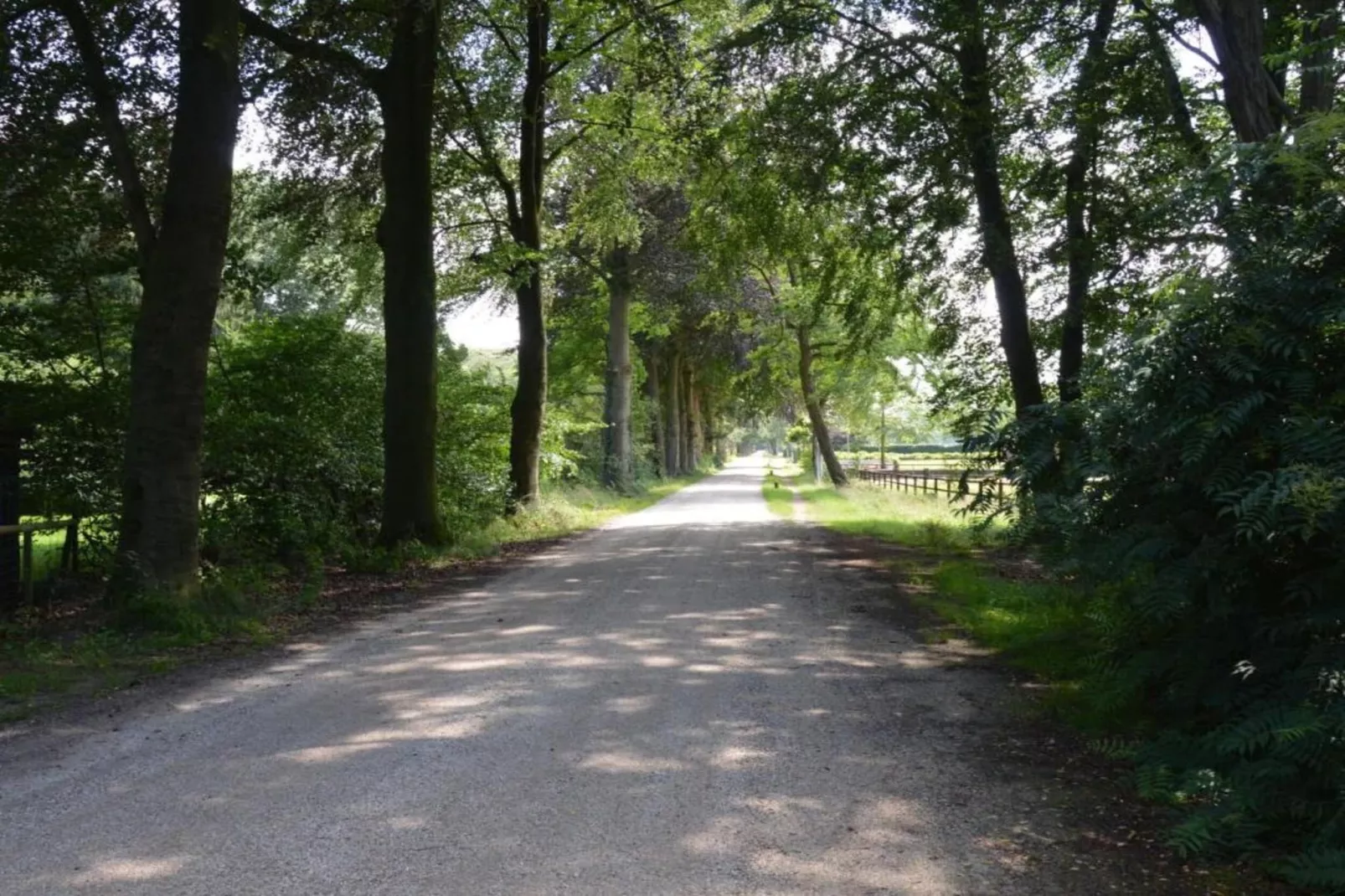 De Weelderik 3-Gebieden zomer 20km