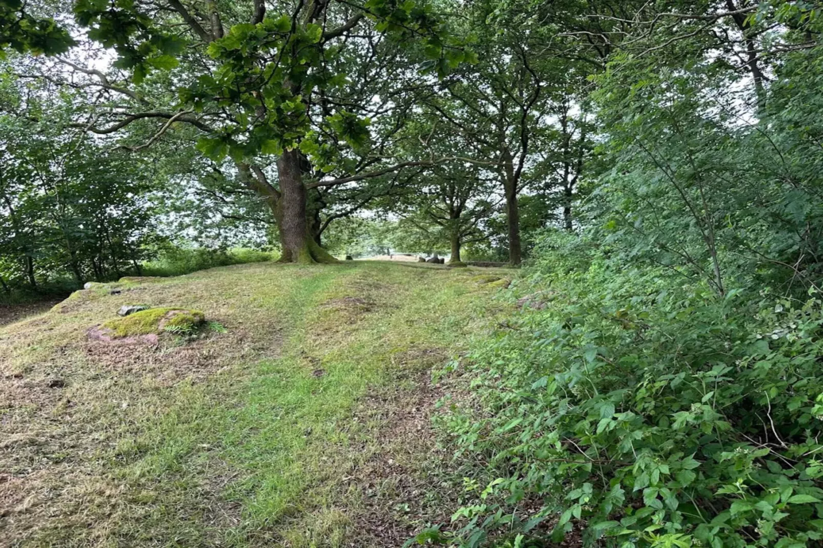 5 sterren vakantie huis in Hovborg-By Traum-Niet-getagd