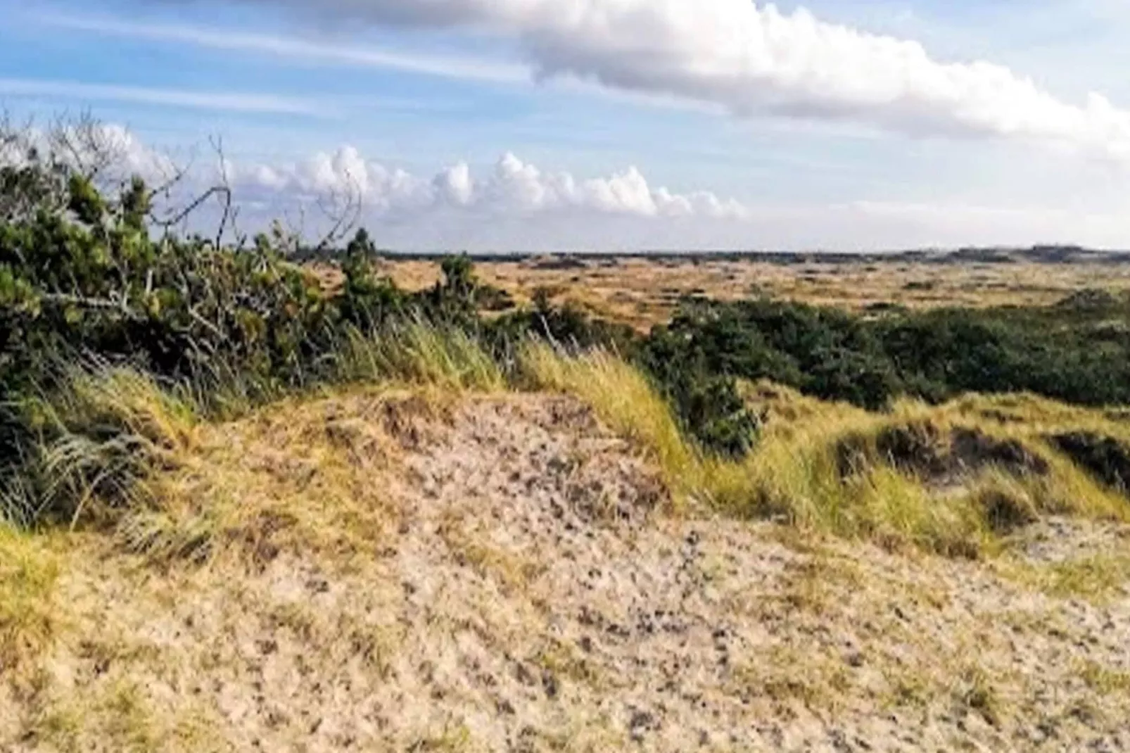 Luxe zwembadhuis bij zee -- By Traum Ferienwohnungen-Uitzicht