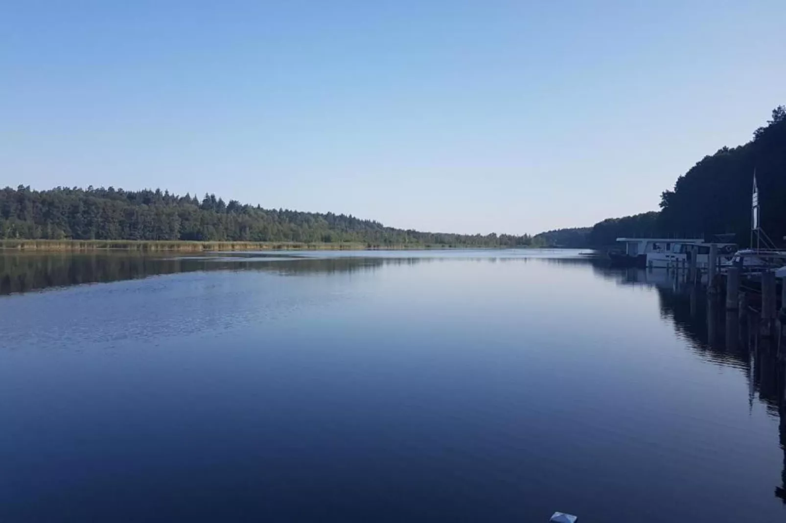 Reiher 18-Gebieden zomer 1km