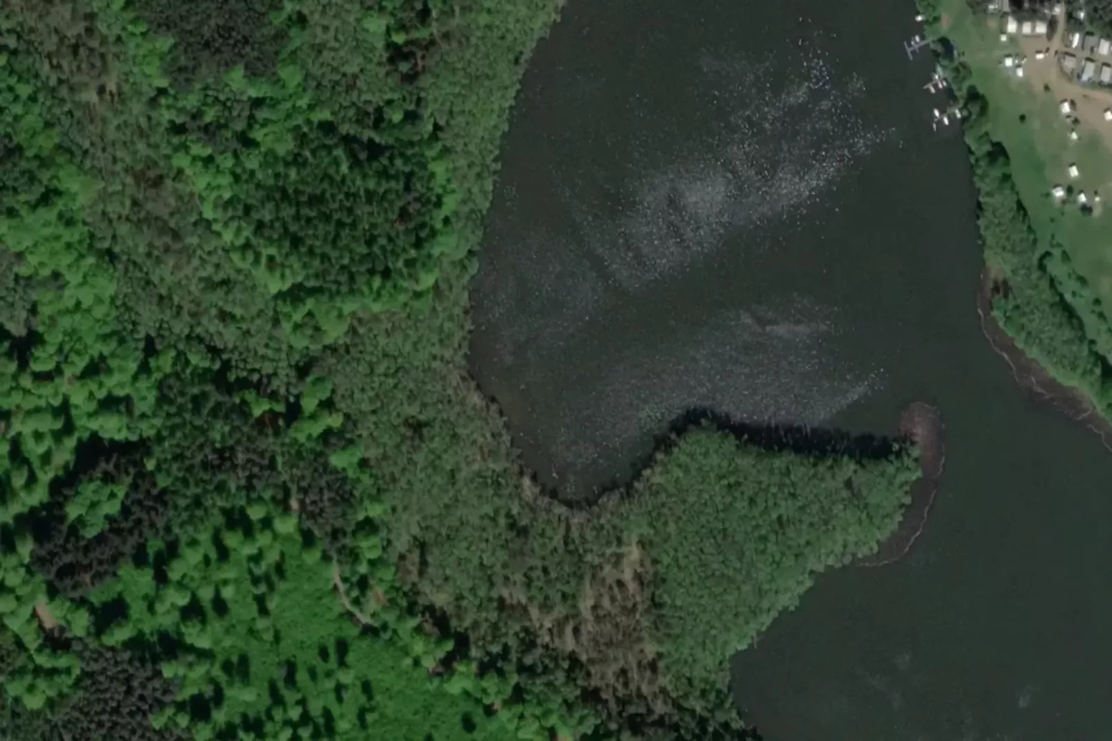 Wildgans Classic 246-Gebieden zomer 1km