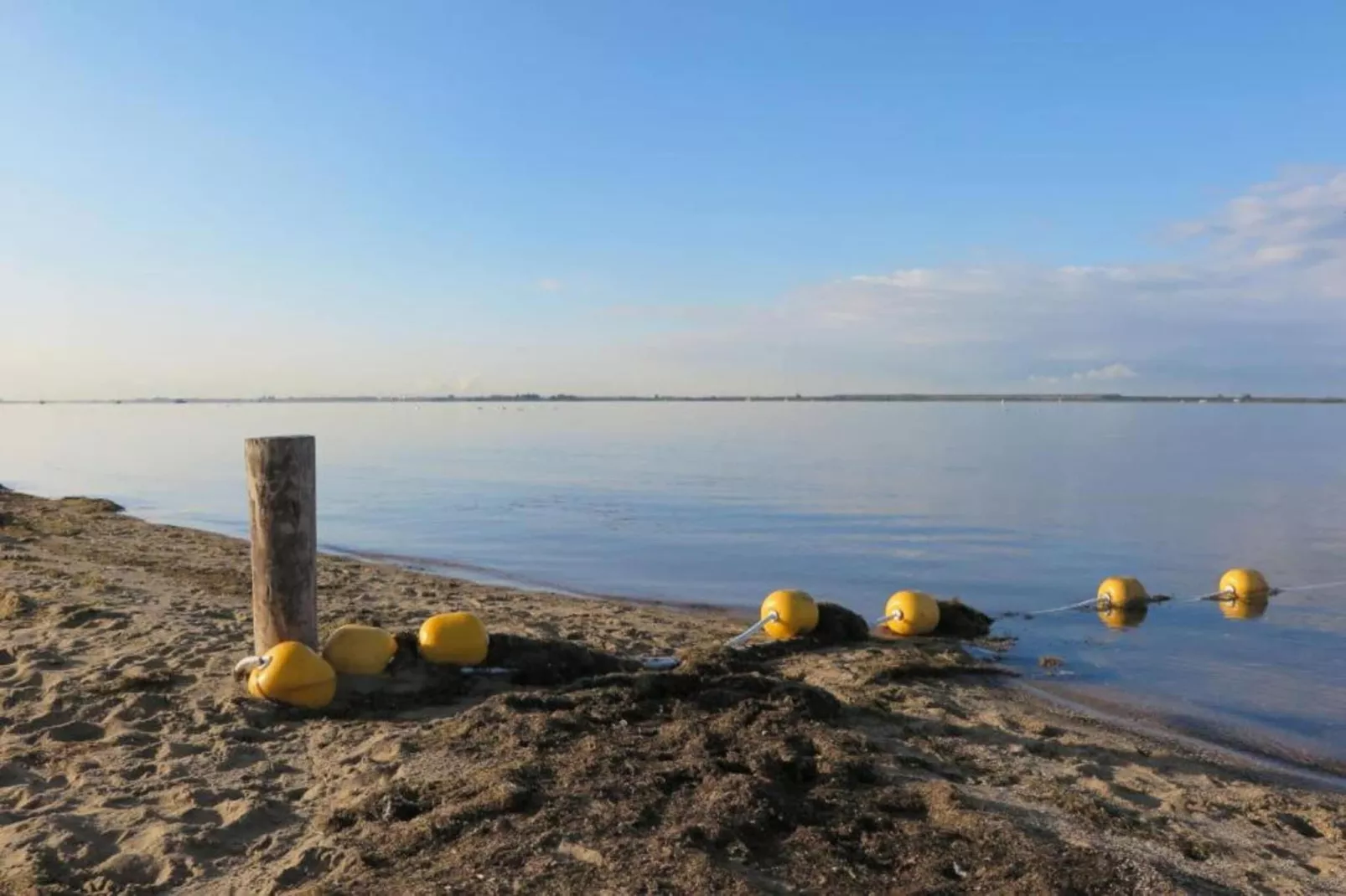 Standaard 224 - Gebieden zomer 20km
