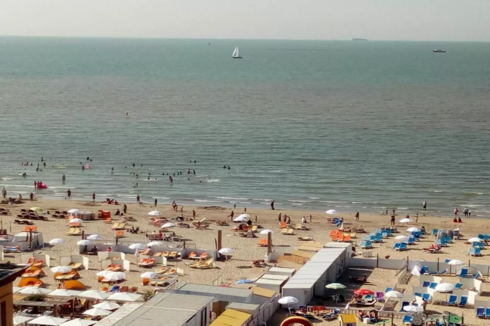 SEASIGHT - 91-Gebieden zomer 1km