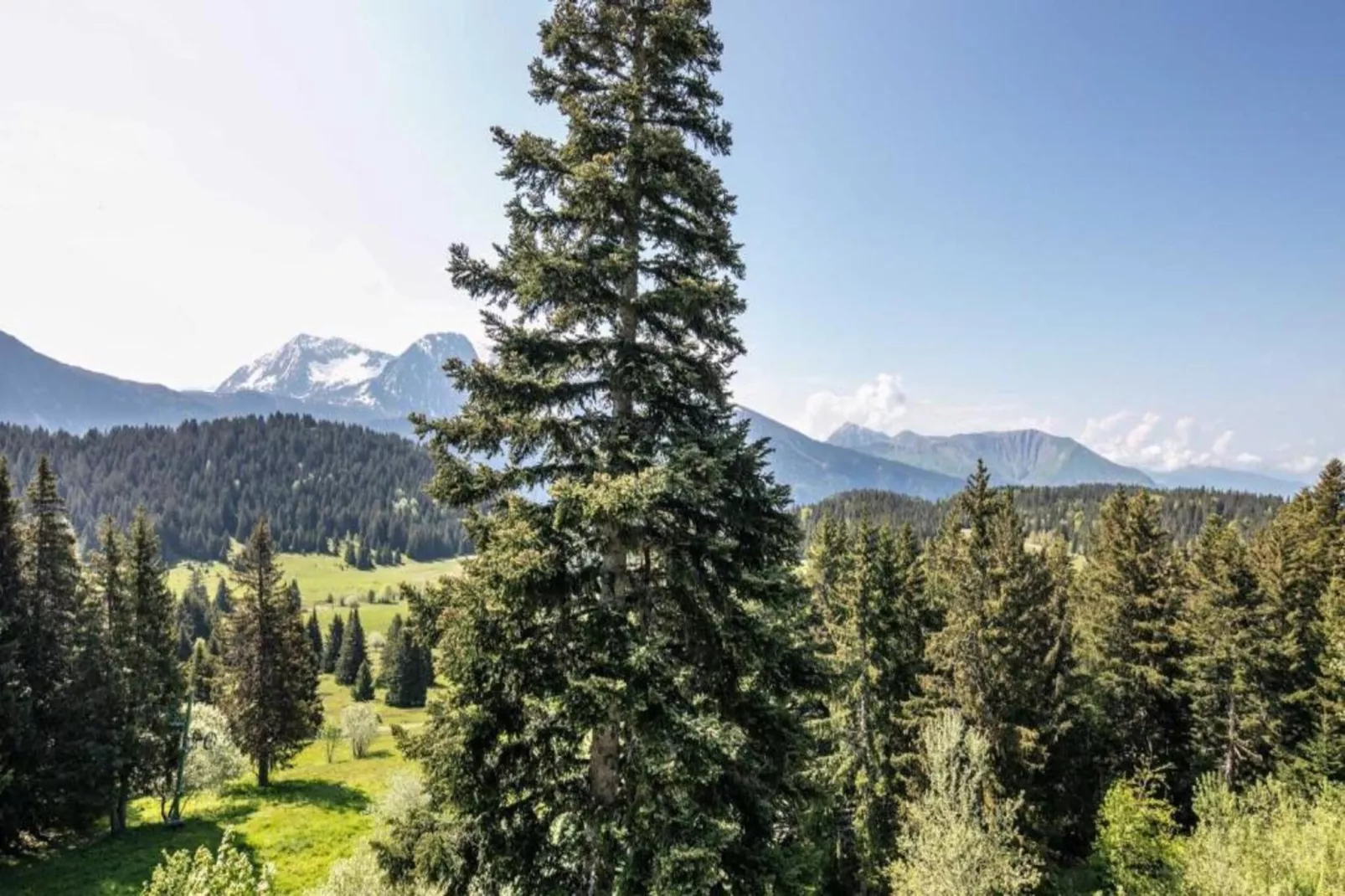 V du Bachat EPICEA C N°02 - 2P5-Gebieden zomer 5km