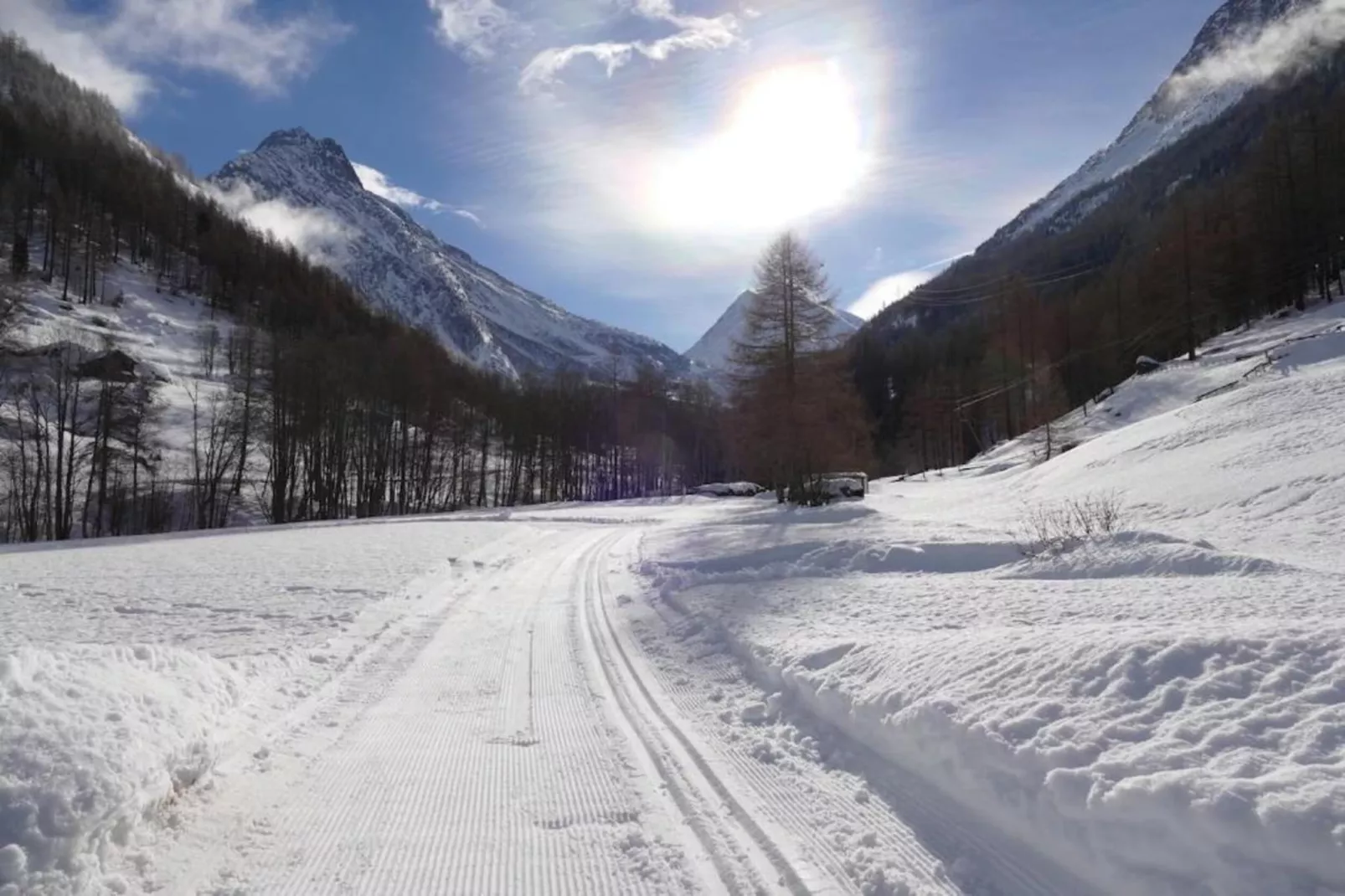 Haus Alpenstern Wohnung Trift-Gebied winter 20km