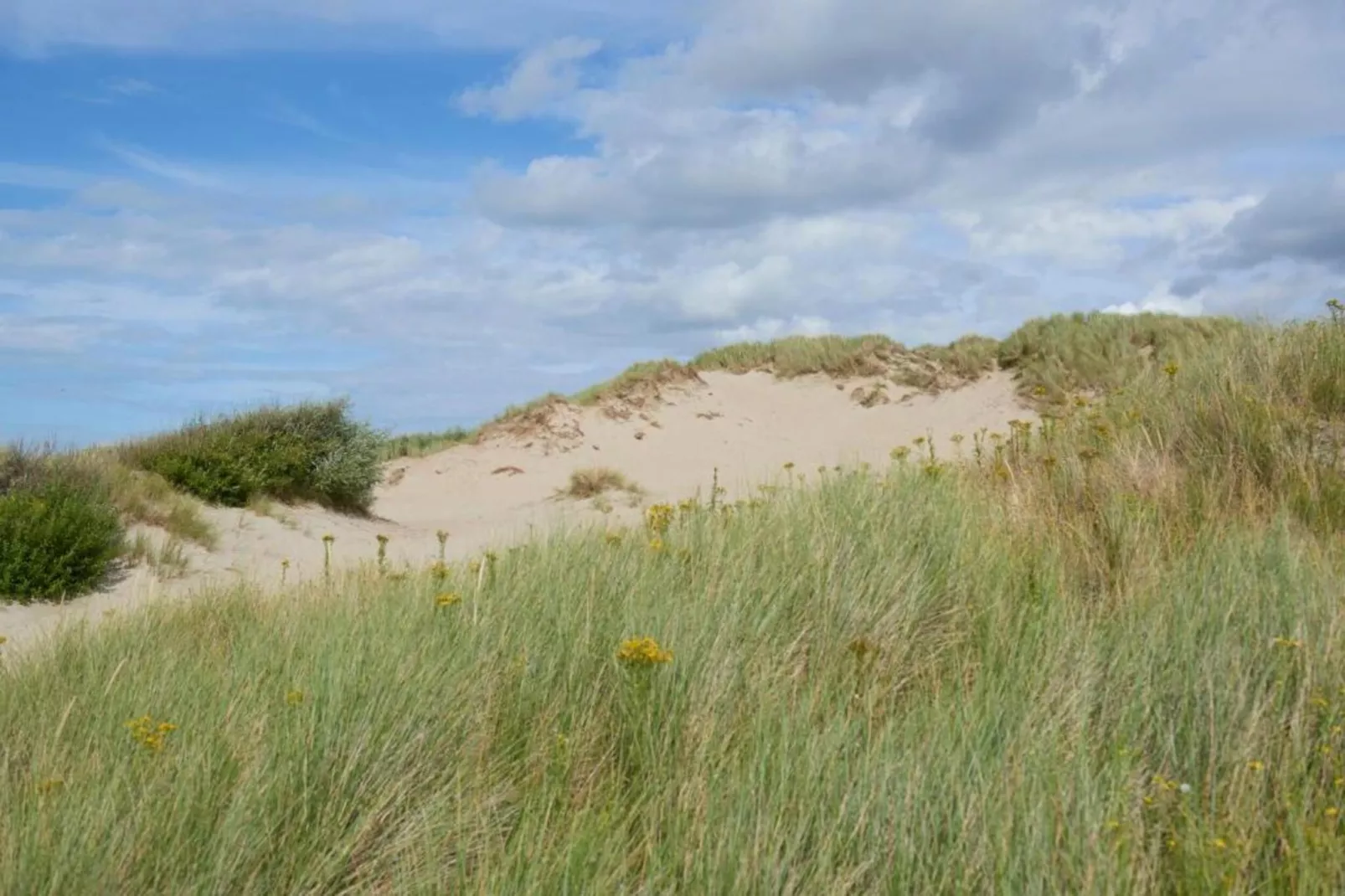 Residentie Sun Beach 0502-Gebieden zomer 20km
