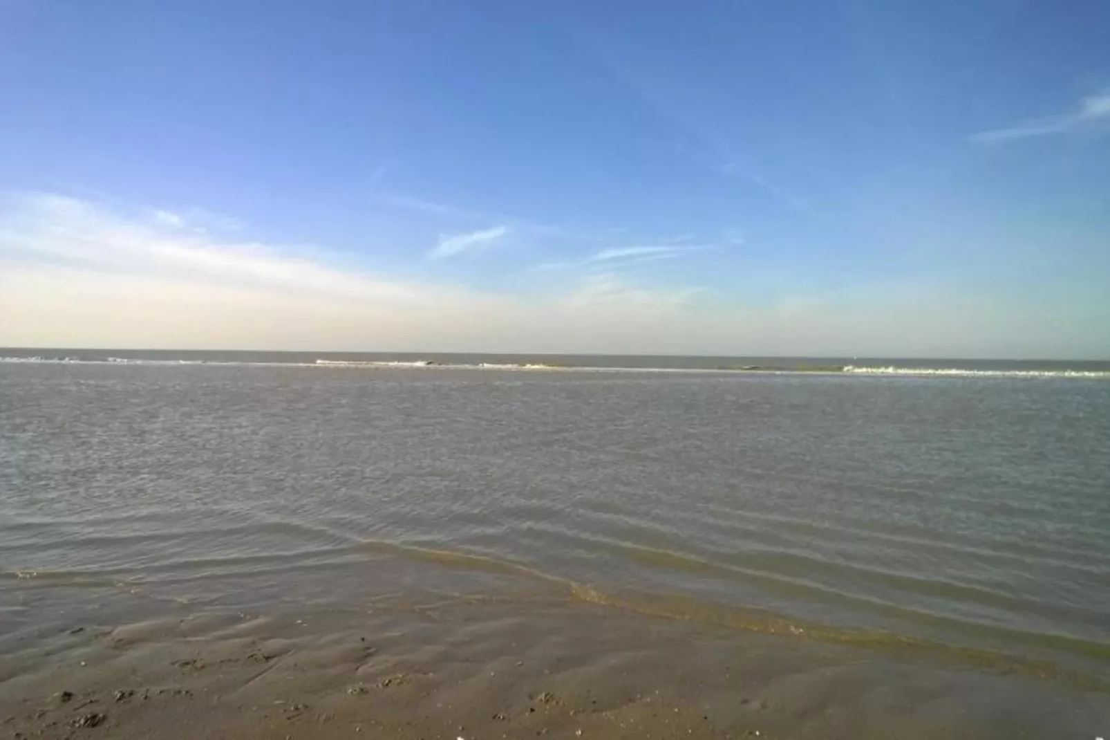COQOON/0202-Gebieden zomer 20km