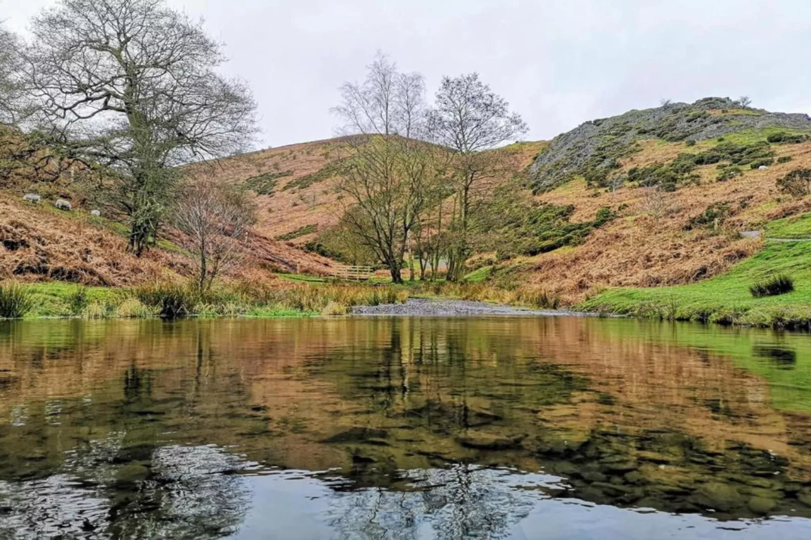 Netley Hall - Lavender-Gebieden zomer 5km