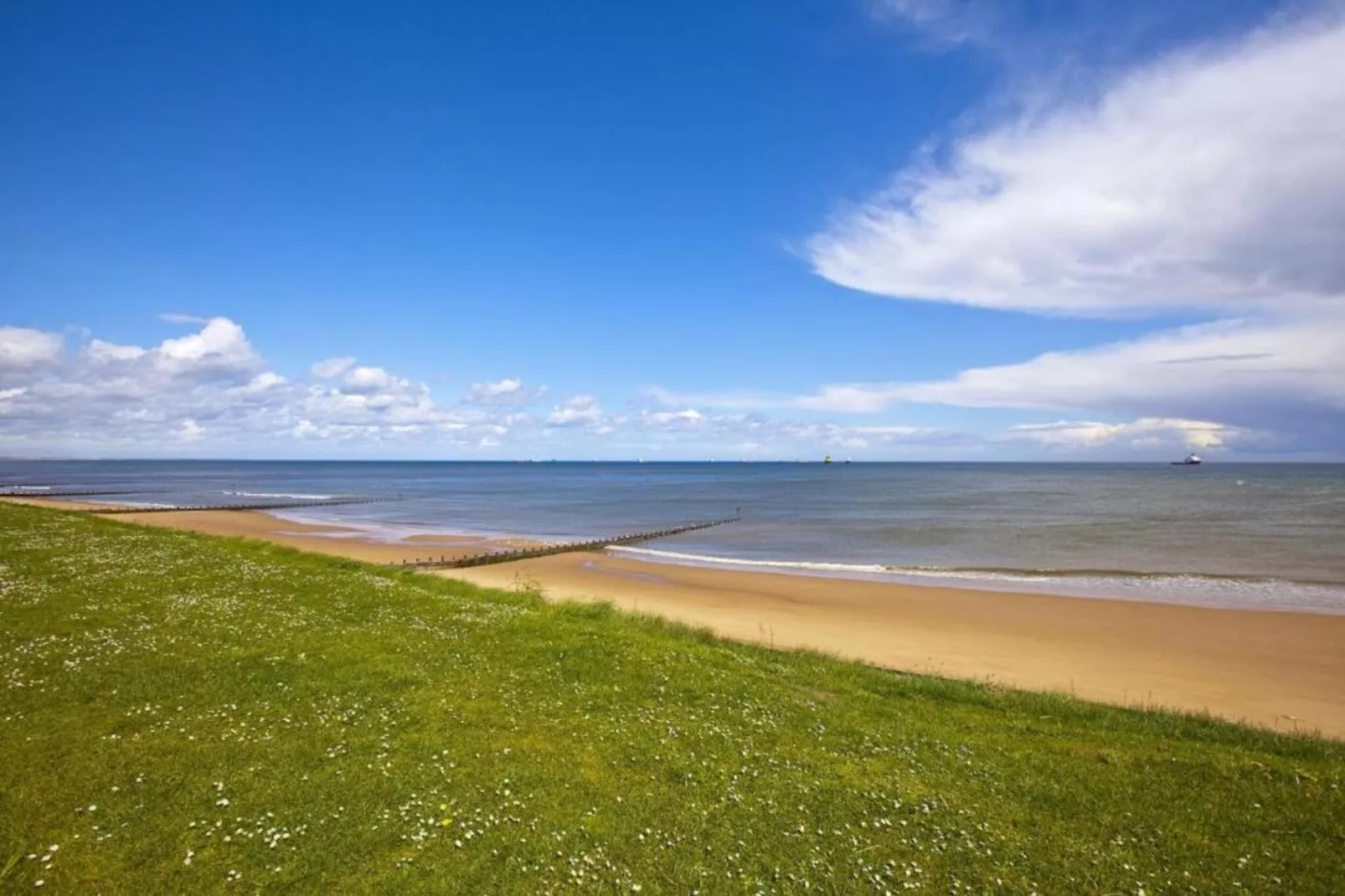 Brentwood Aberdeen  Standard Double-Gebieden zomer 20km