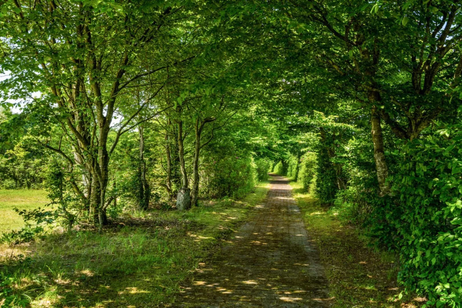 4 sterren vakantie huis in Hampen-Buitenlucht