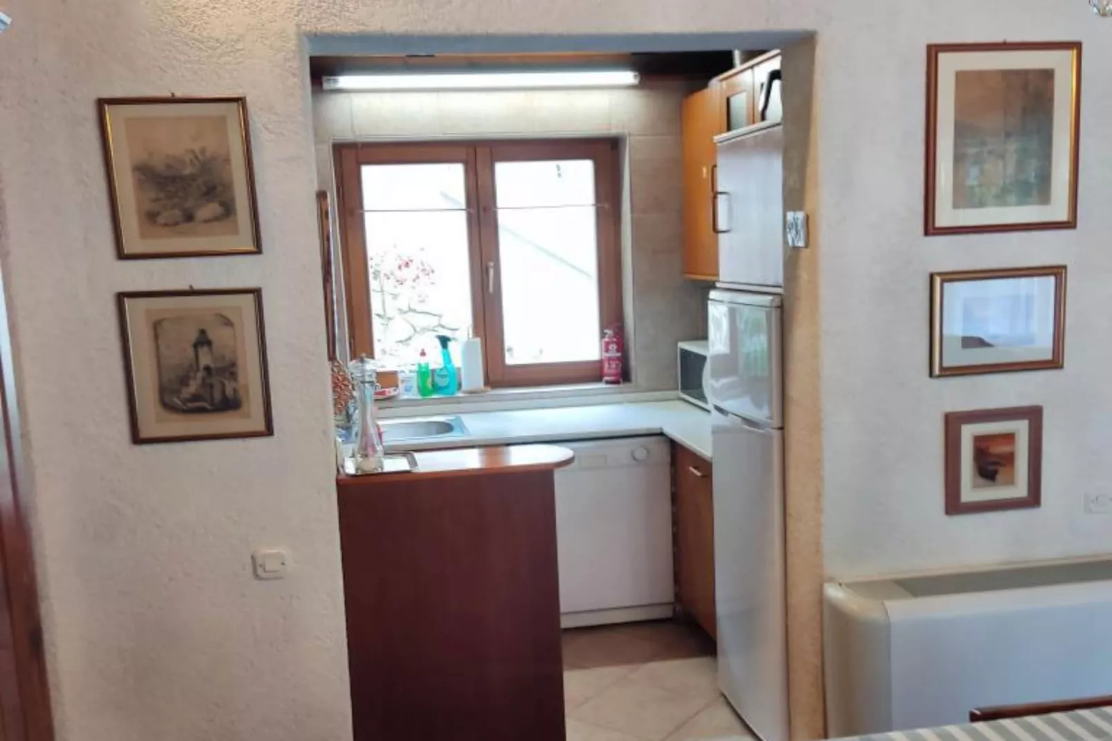 Apartment & Rooms Villa Oliva - Two Bedroom Apartment-Keuken