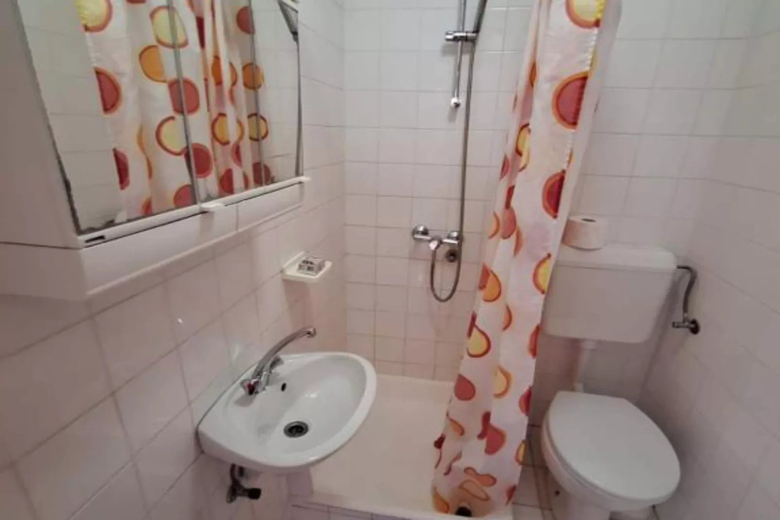 Apartments Villa Šesto - Classic One Bedroom Apartment with Balcony(3)-Badkamer