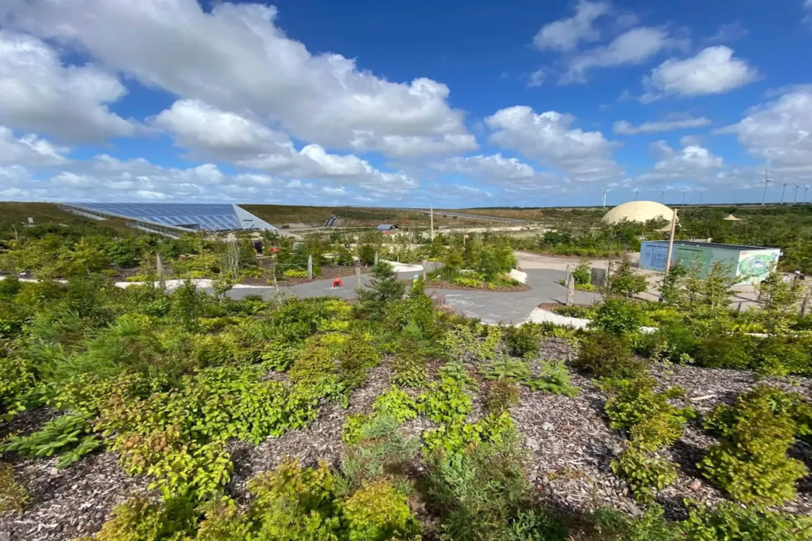 4 Personen vakantie huis in Ringkøbing-Niet-getagd