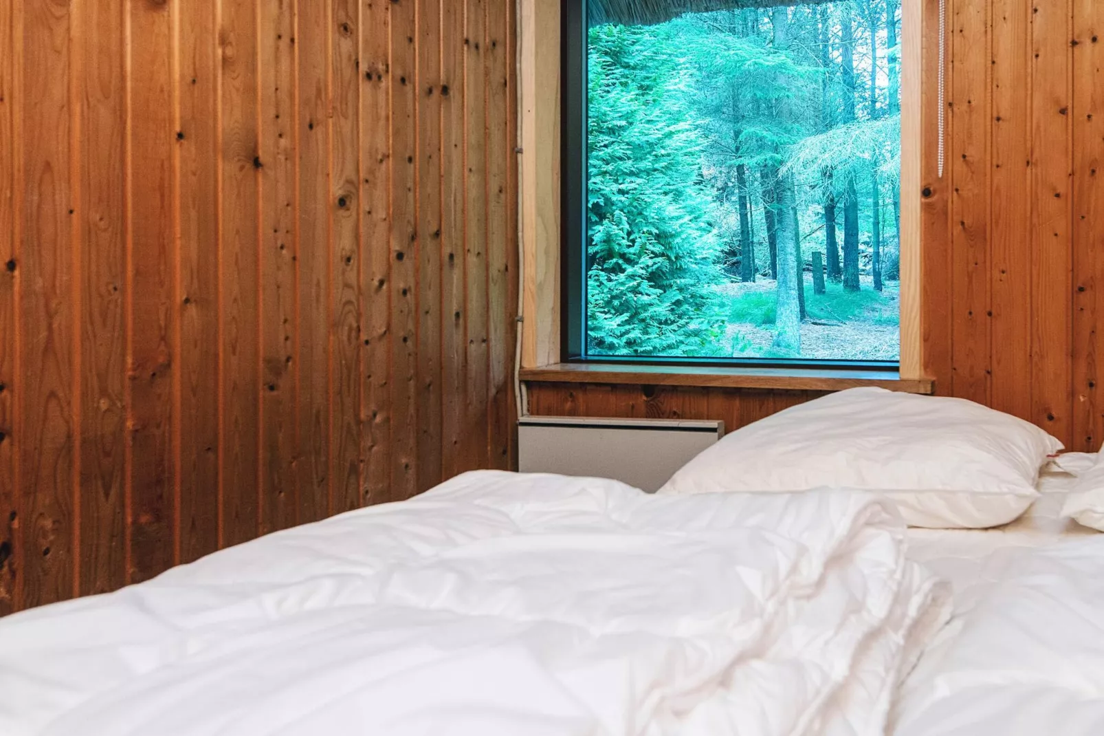 6 persoons vakantie huis in Blåvand-Binnen