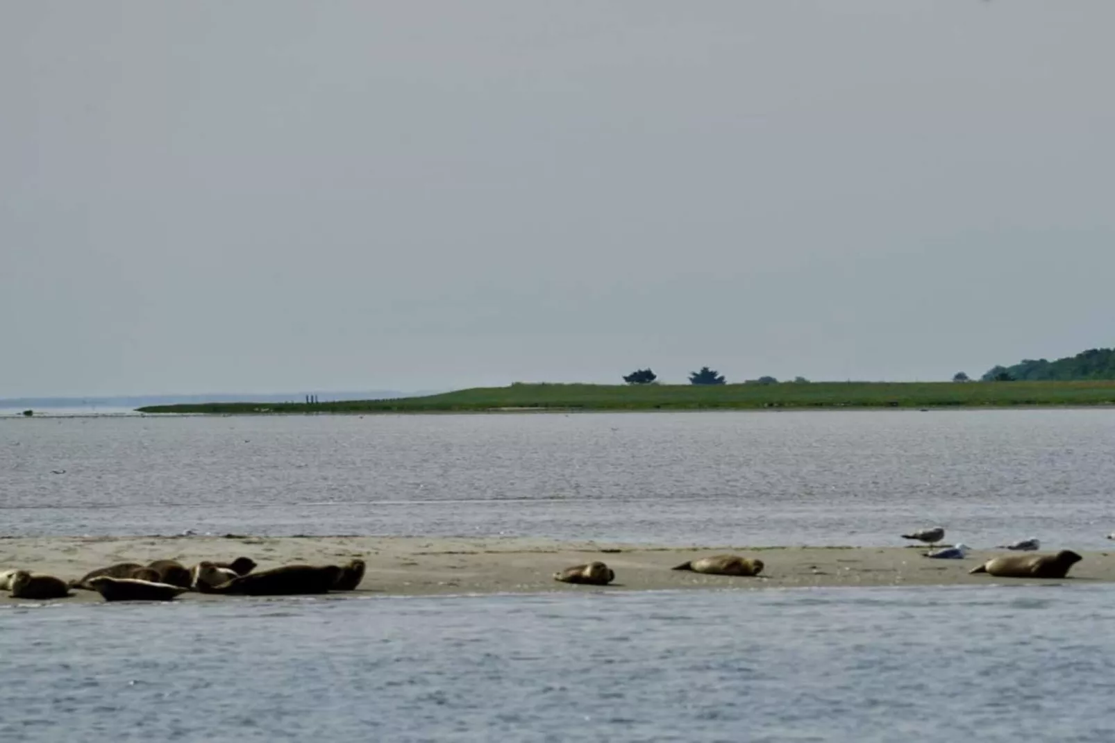 6 persoons vakantie huis in Hadsund-Waterzicht