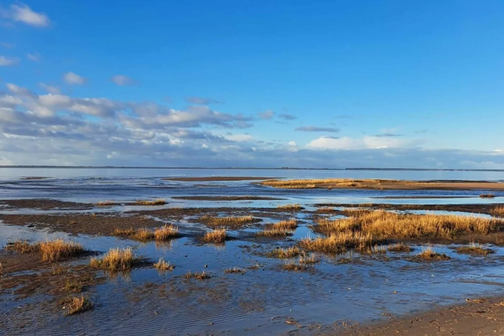 6 persoons vakantie huis in Esbjerg V-Waterzicht