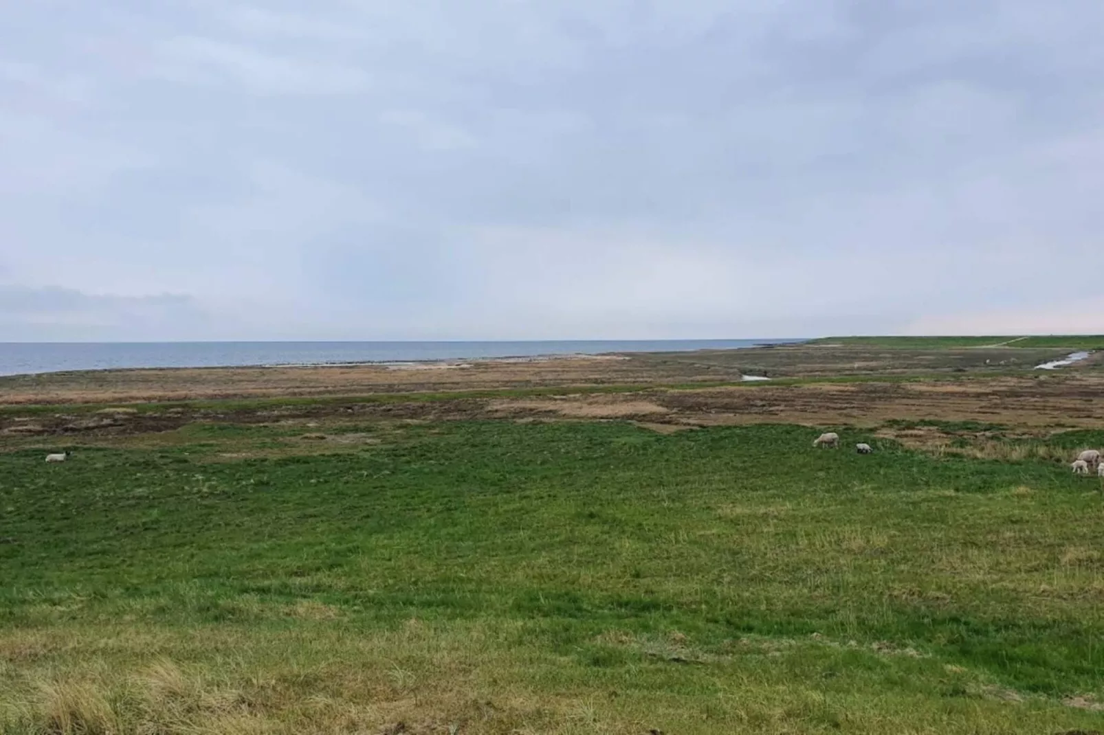 6 persoons vakantie huis in Rømø-Waterzicht