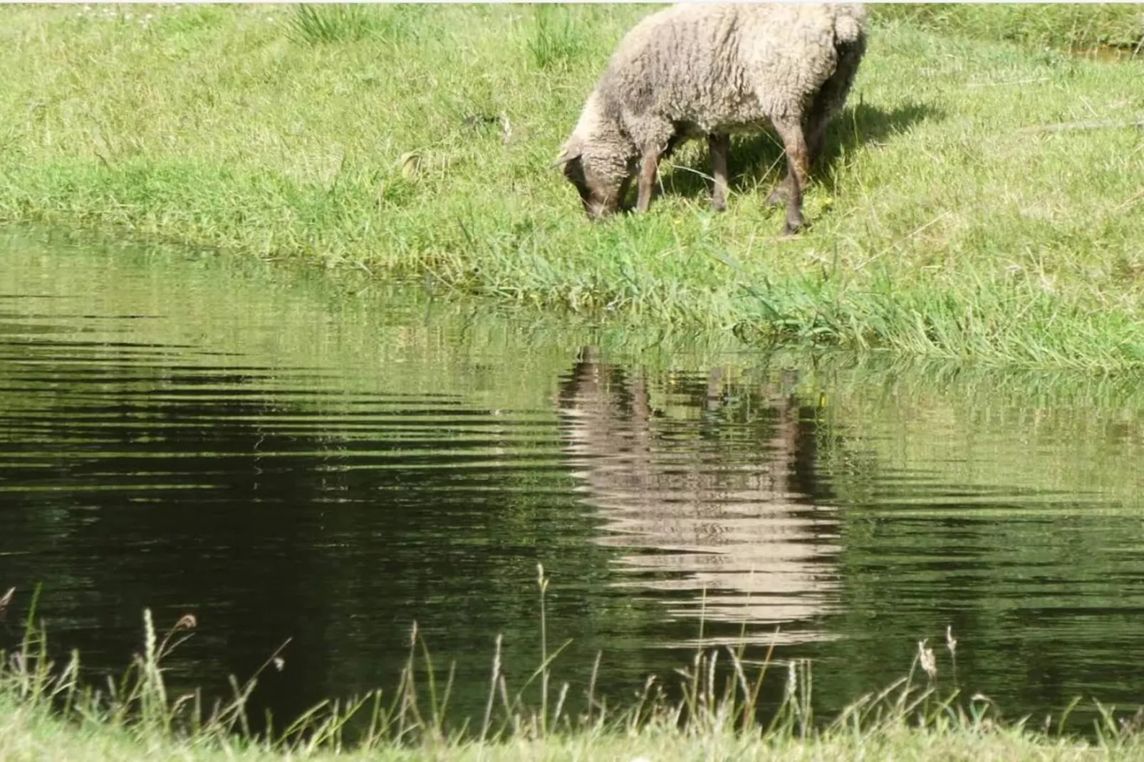 5 persoons vakantie huis in Hovborg-By Traum-Niet-getagd