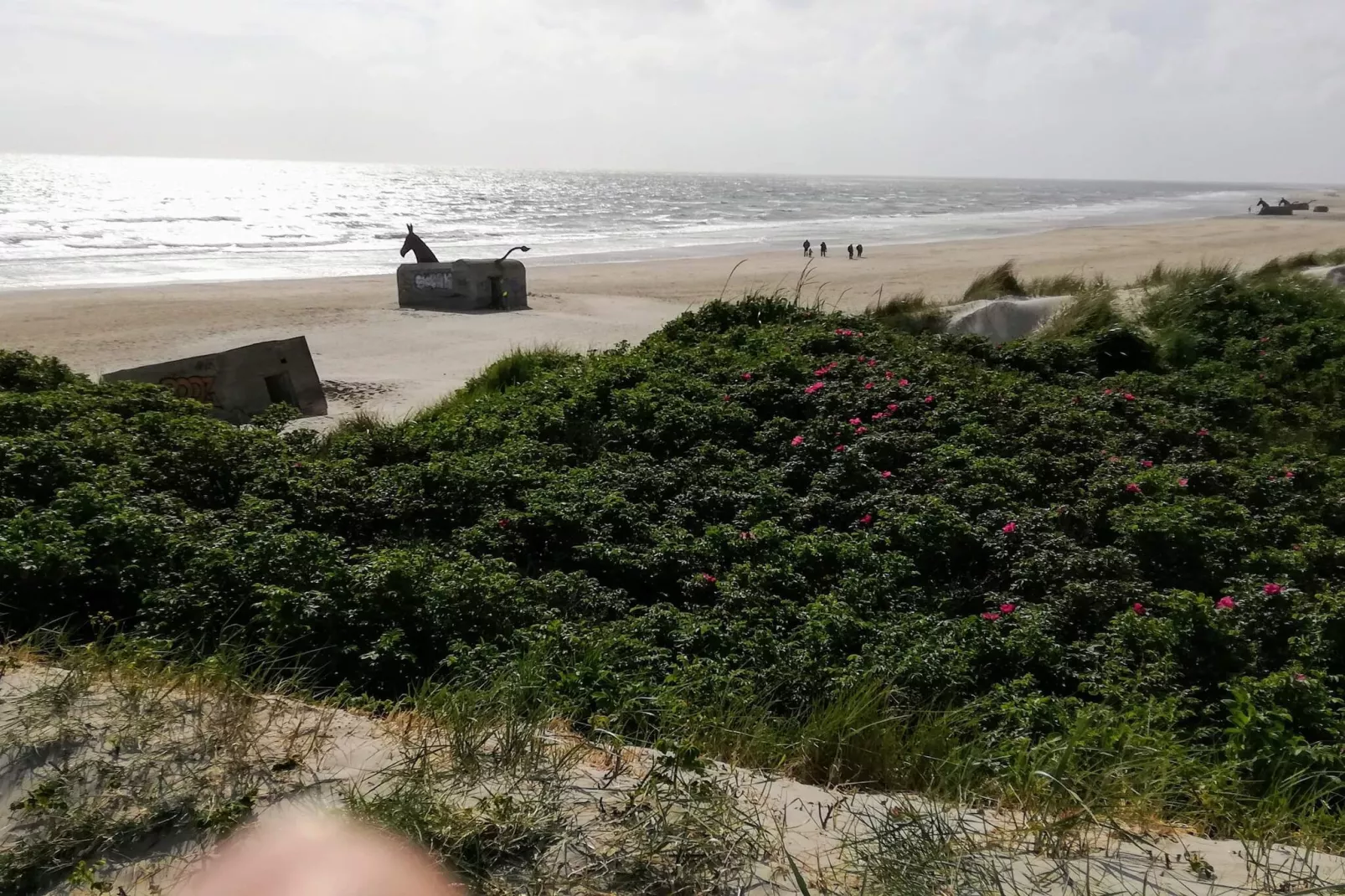 Afgelegen toevluchtsoord in Blavand -- By Traum Ferienwohnungen-Waterzicht