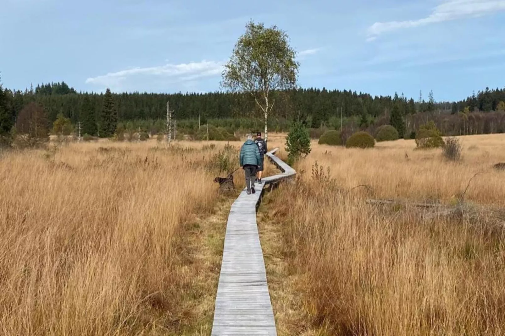 Le Gîte de Jevigné-Gebieden zomer 20km