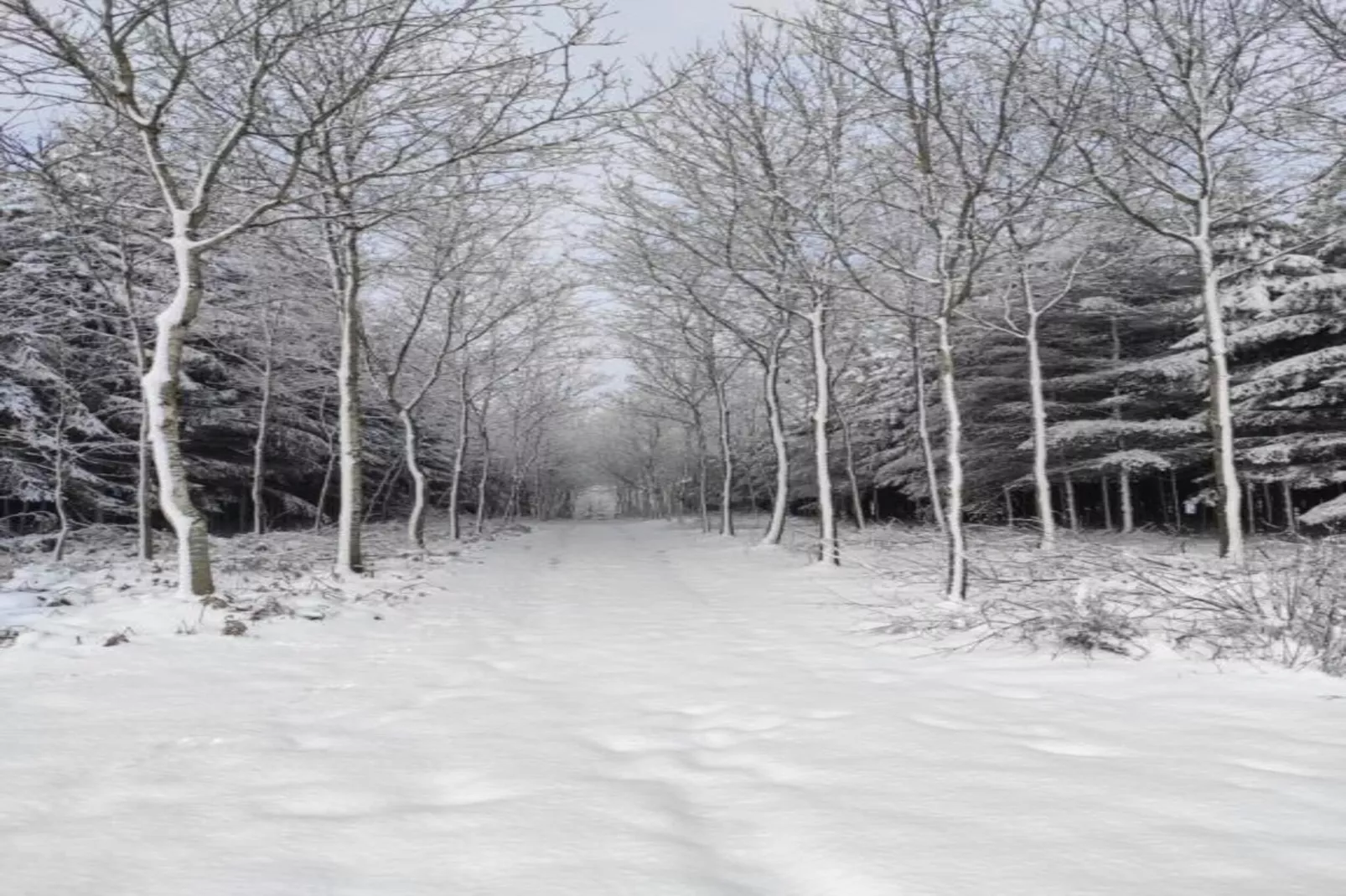 Sapin-Paul-Gebied winter 20km