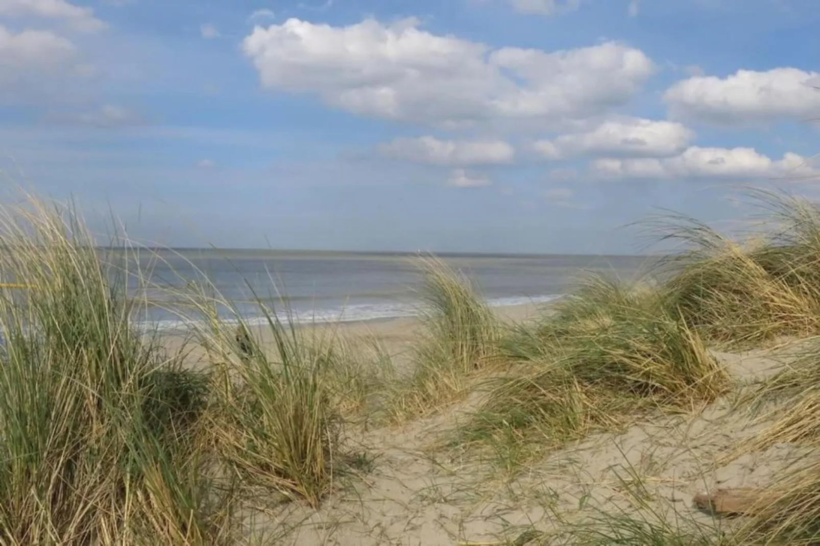 Breeduyn Village 4-Gebieden zomer 20km