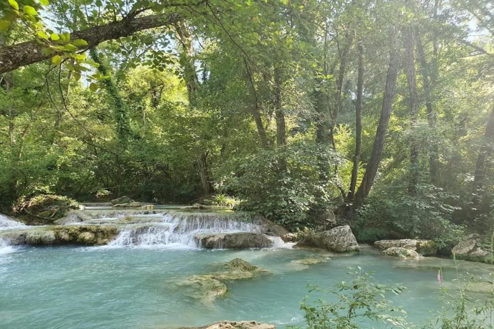 Pereboom-Gebieden zomer 20km