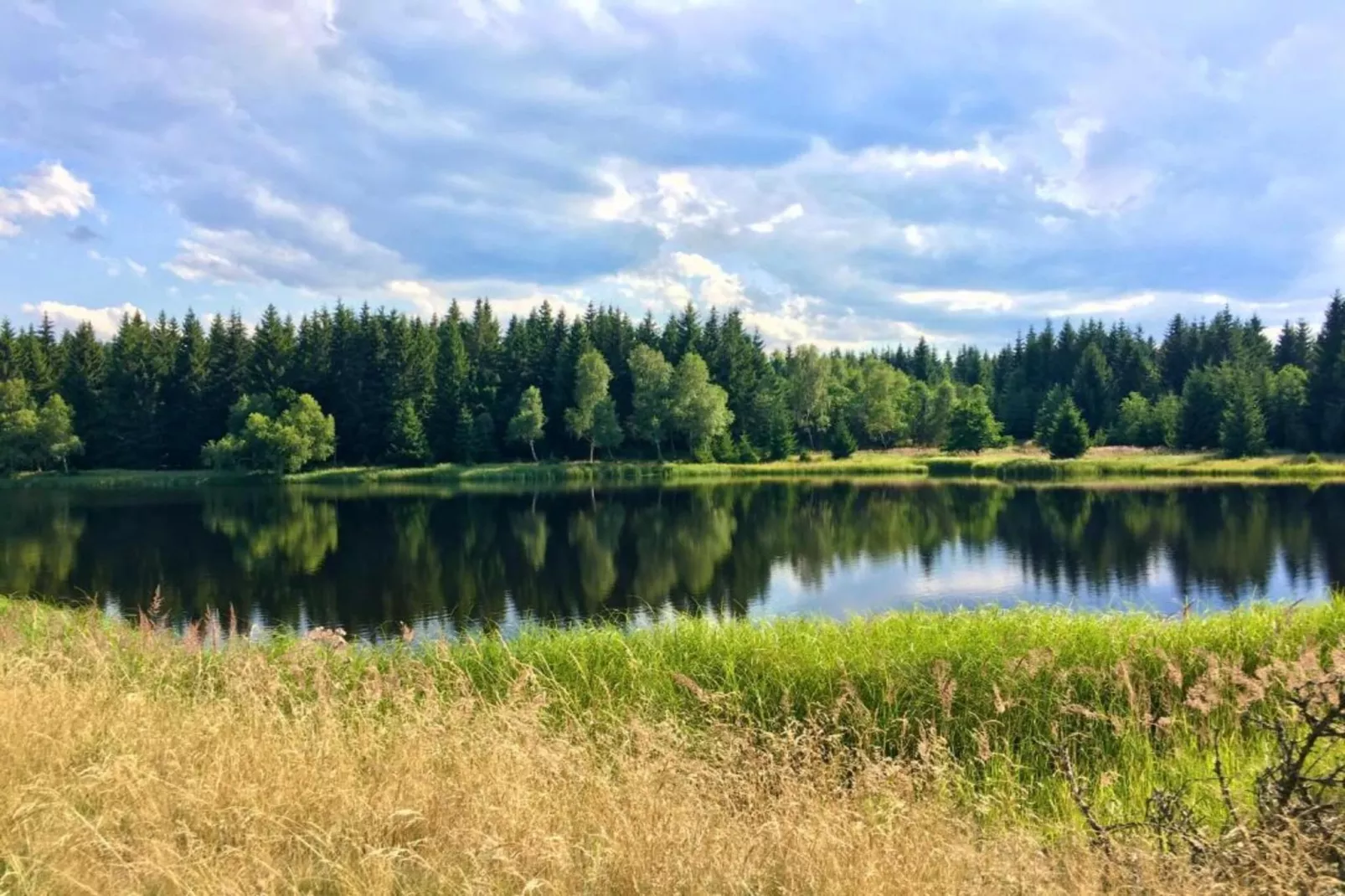 Stela-Gebieden zomer 5km