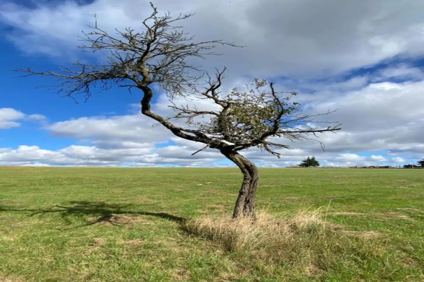 Holzhaus Ute-Gebieden zomer 20km