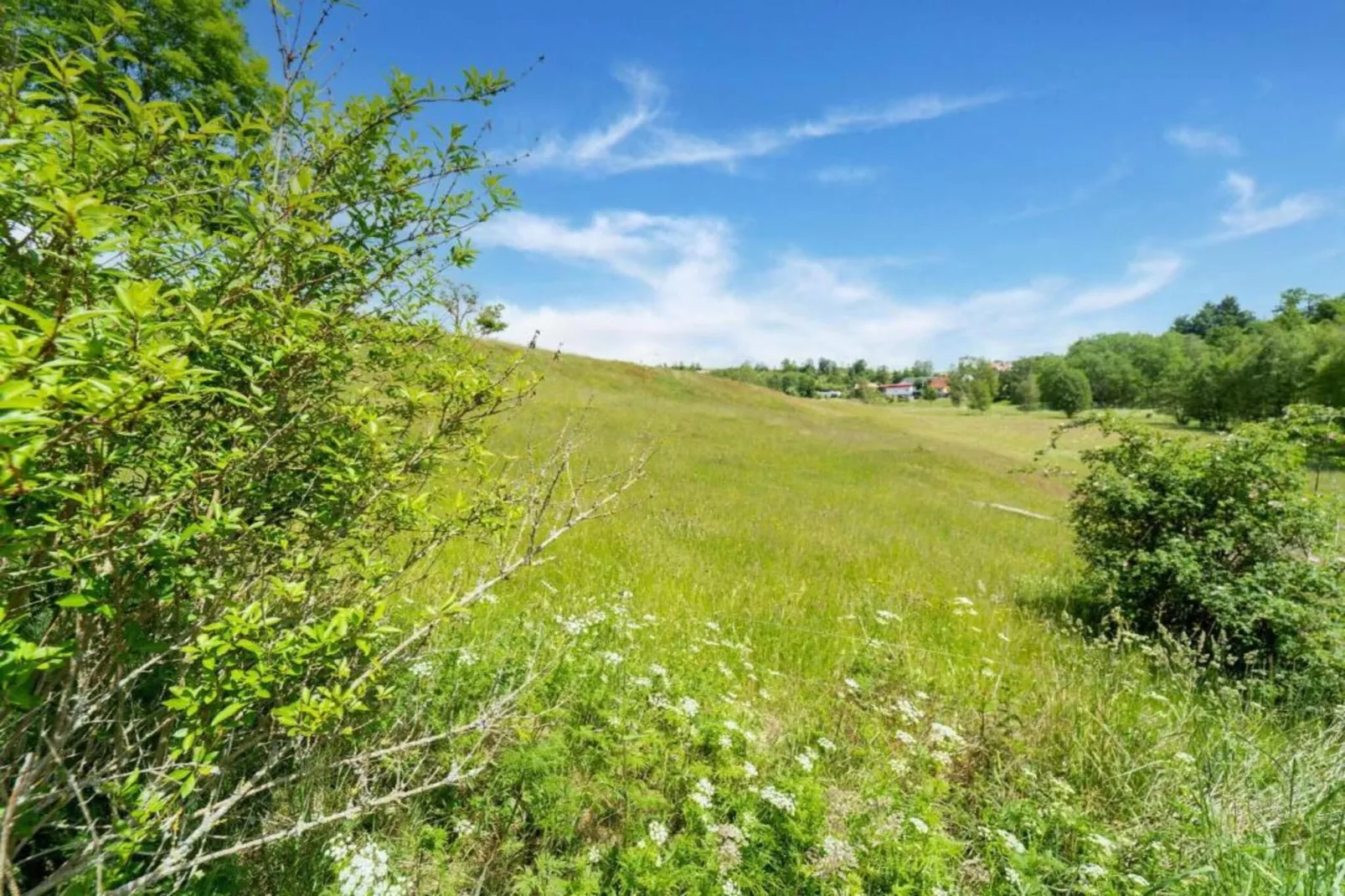 Thale-Gebieden zomer 20km