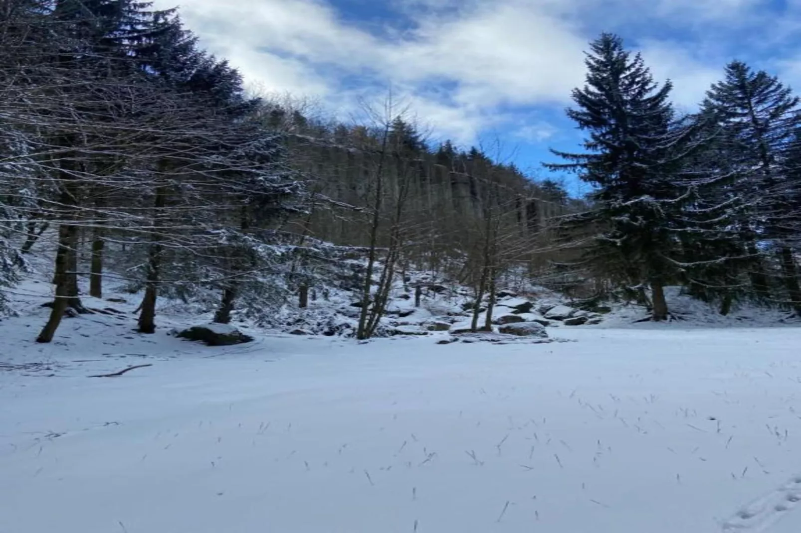 Honighäusl-Gebied winter 20km