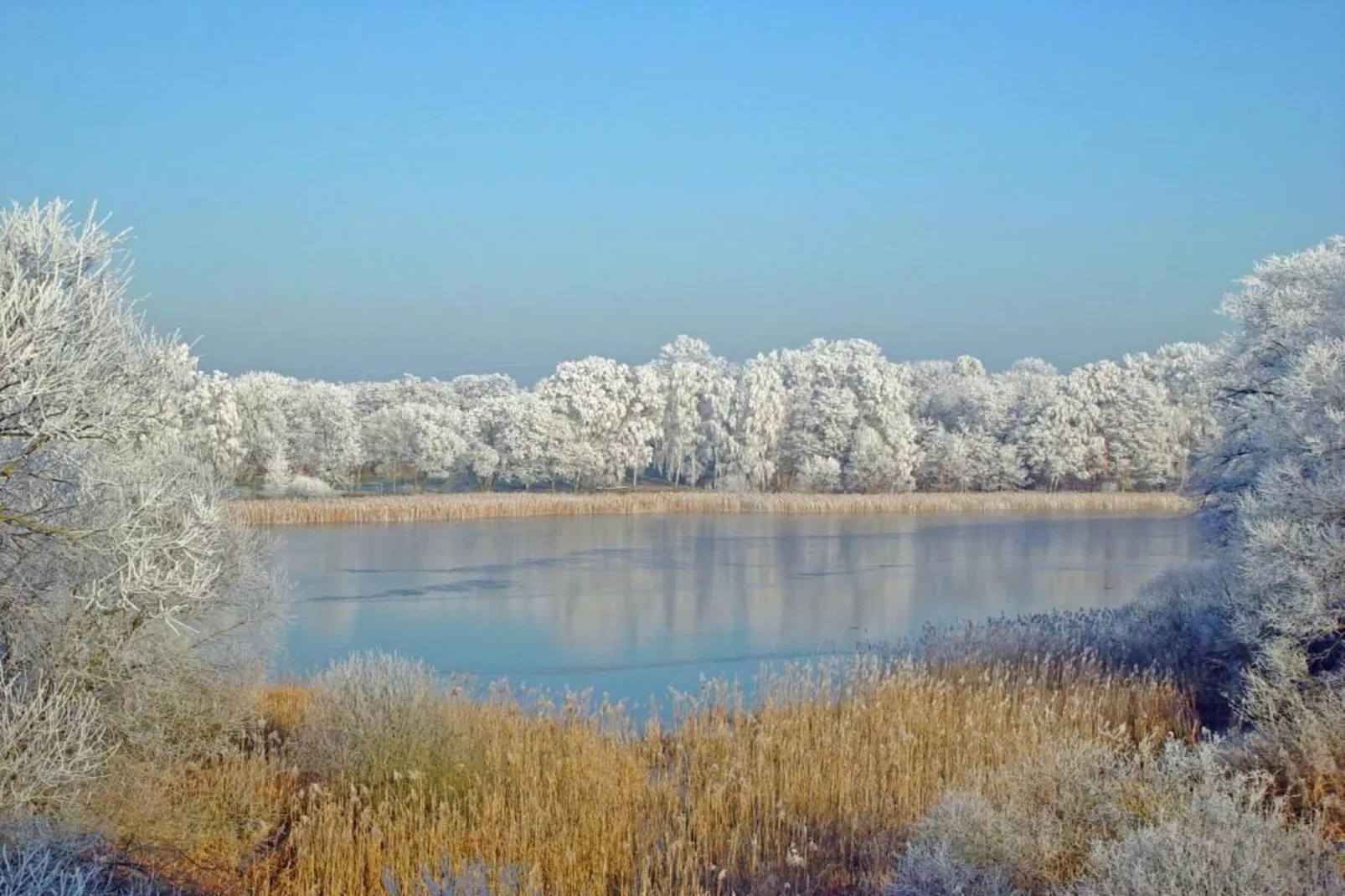 Ferienhaus Storchenblick-Gebied winter 20km